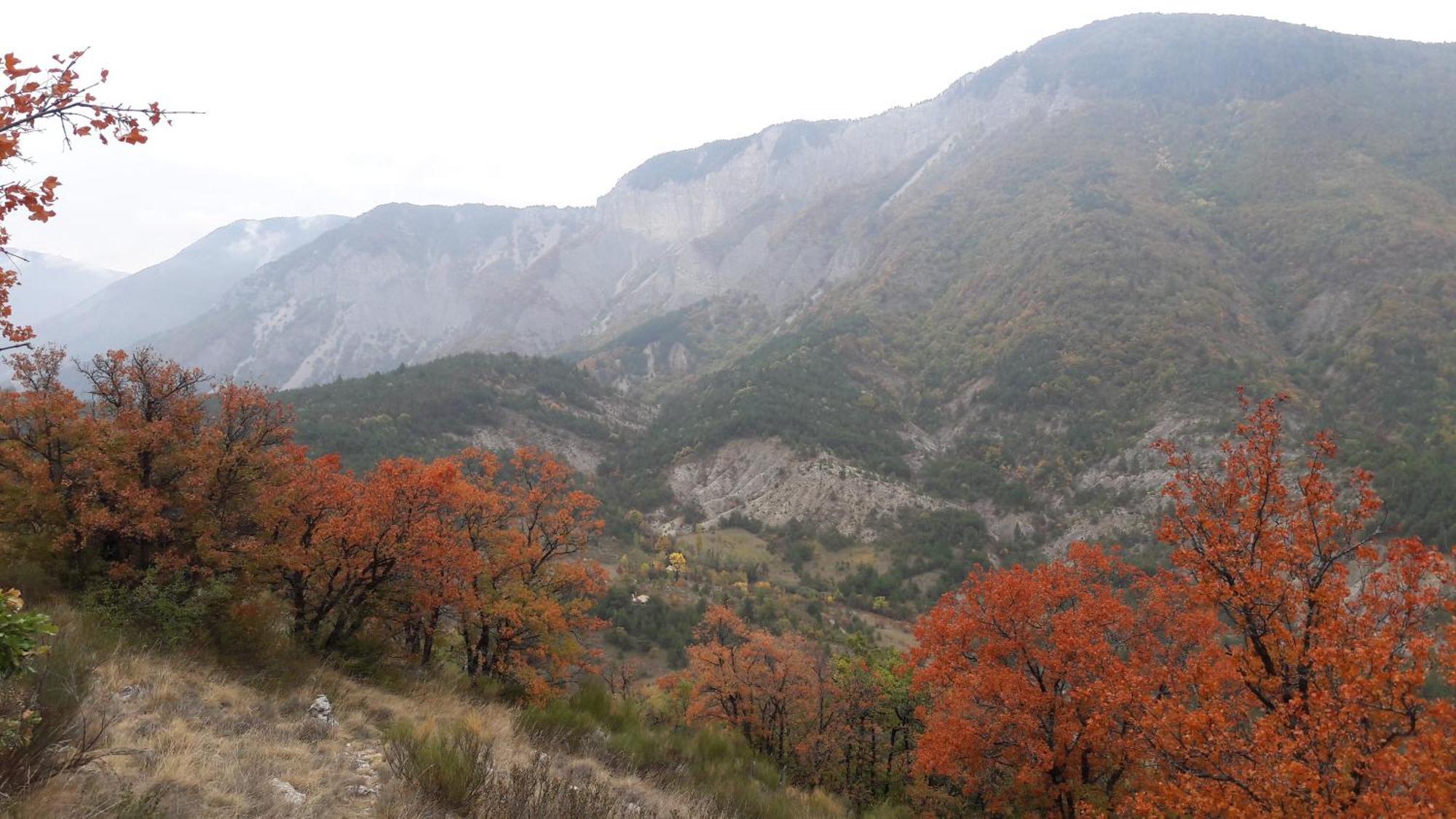 Gite En Haute Provence Montfroc 外观 照片
