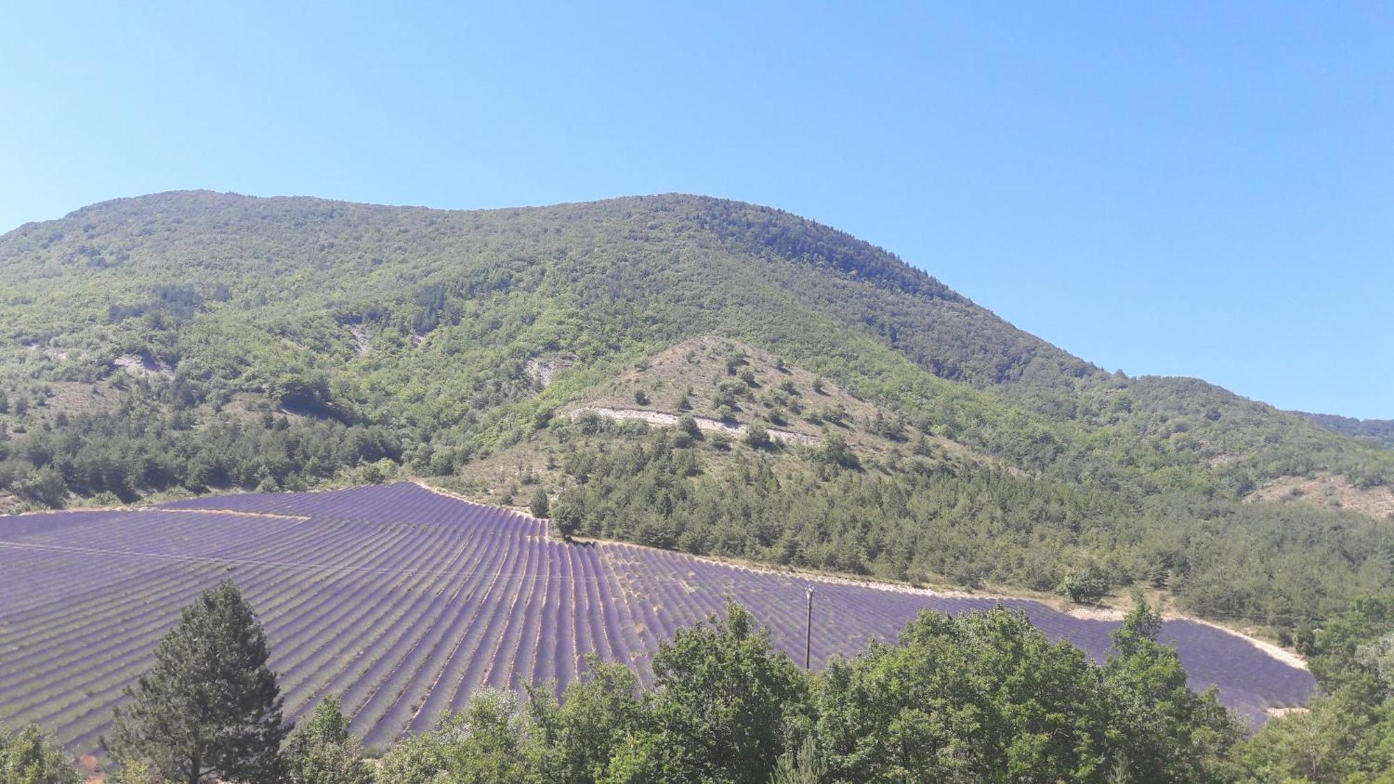 Gite En Haute Provence Montfroc 外观 照片